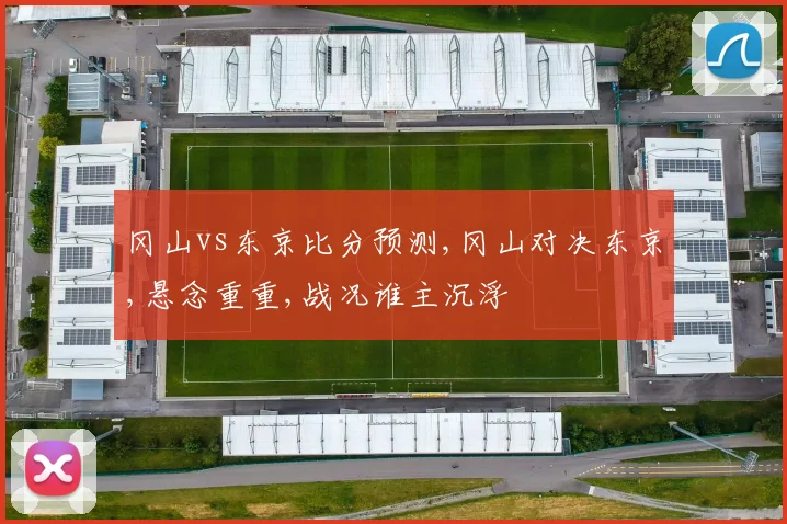 冈山vs东京比分预测,冈山对决东京,悬念重重,战况谁主沉浮