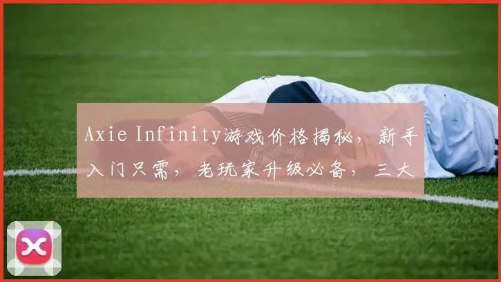Axie Infinity游戏价格揭秘,新手入门只需,老玩家升级必备,三大攻略